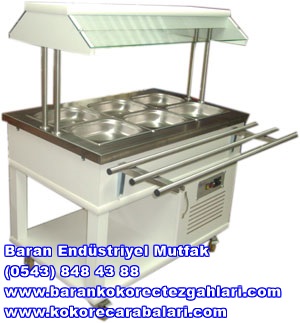 Saladbar Teşhir Reyonları